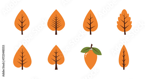 Autumn leaves and a single mango a colorful seasonal illustration