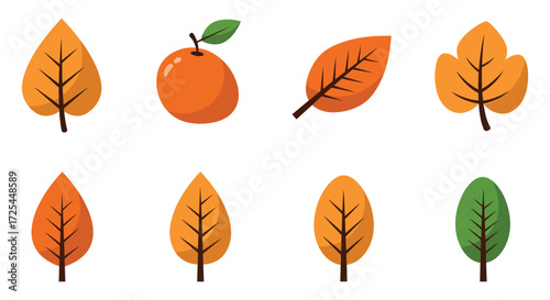 Collection of colorful autumn leaves and a single ripe mango fruit