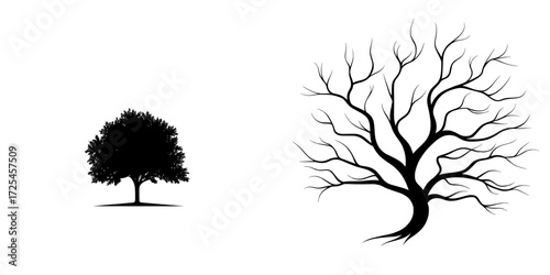 A minimalist black silhouette of a full, lush tree, characterized by simple lines, makes for a timeless and versatile image suitable for logos, icons, or nature-themed designs
