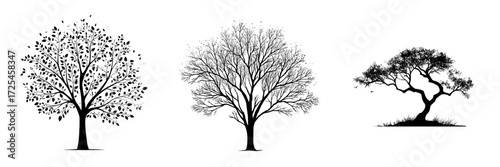 A striking minimalist silhouette of a tree against a clean background, evoking a sense of strength, resilience, and the enduring power of nature, is embodied in the simple silhouette of a tree