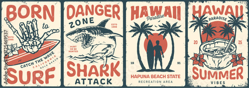 Surfing in Hawaii with vibrant graphics and themes