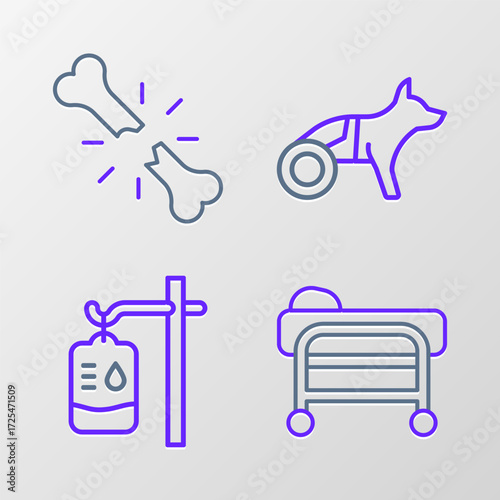 Set line Stretcher, IV bag, Dog in wheelchair and Human broken bone icon. Vector