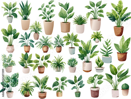 A collection of vector illustrations of various houseplants