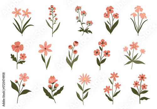 A collection of dainty coral colored floral illustrations with green leaves.