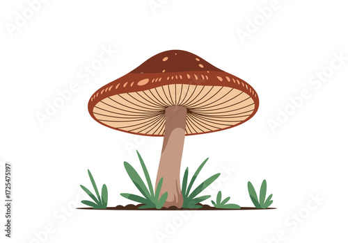 A detailed illustration of a brown mushroom with its gills visible.