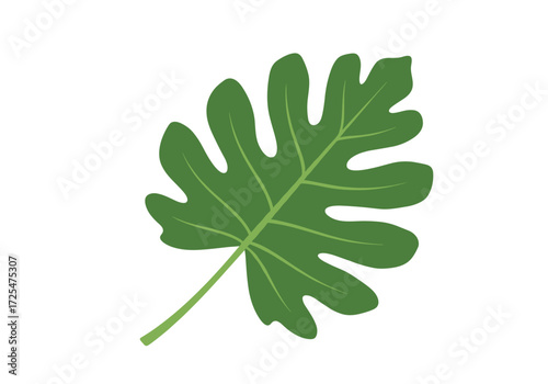 Green leaf with detailed veins and lobed edges.