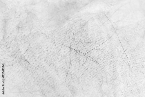 Dirty fabric blanket with lots of dust and pet hair.