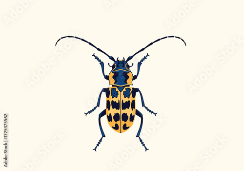 A beautiful longhorn beetle with yellow and black spots is shown on a plain background.