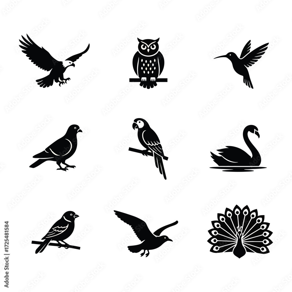 Fototapeta premium Bird