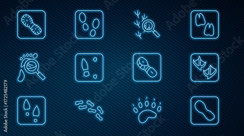Set line Human footprints shoes, Seagull paw, Bird, Magnifying glass with footsteps, and icon. Vector