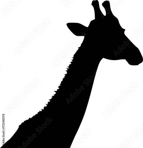 Design of giraffe figure draw