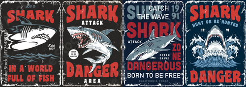 Surfing in California amid shark warnings
