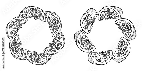 Set of tropical frames featuring ripe oranges and lemons. Exotic round fruit border with space for text. Round frame with juicy, sweet citrus fruits, vector element.