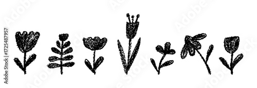 Vector flower collection of chamomile, harebell, and tulip drawn in wax crayon with charcoal squiggle lines. Black flowers for school or kindergarten chalkboard stylet for girl bedroom decoration.