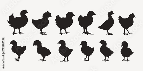 silhouettes of Chick
