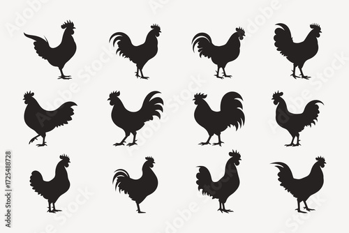 set of rooster vector