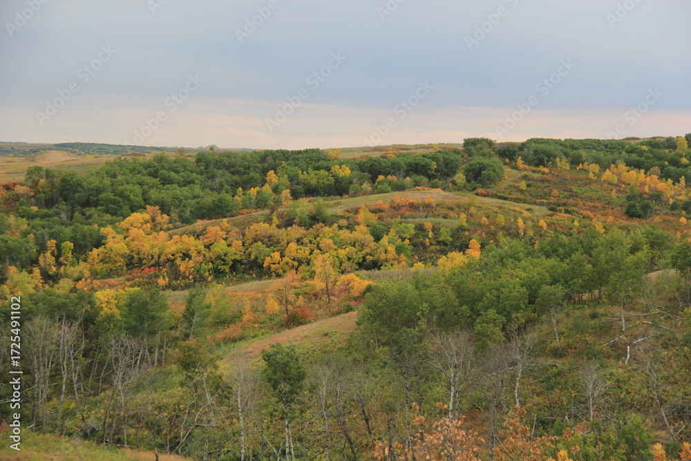 Fototapeta premium Fall scenery in the Qu'Appelle Valley