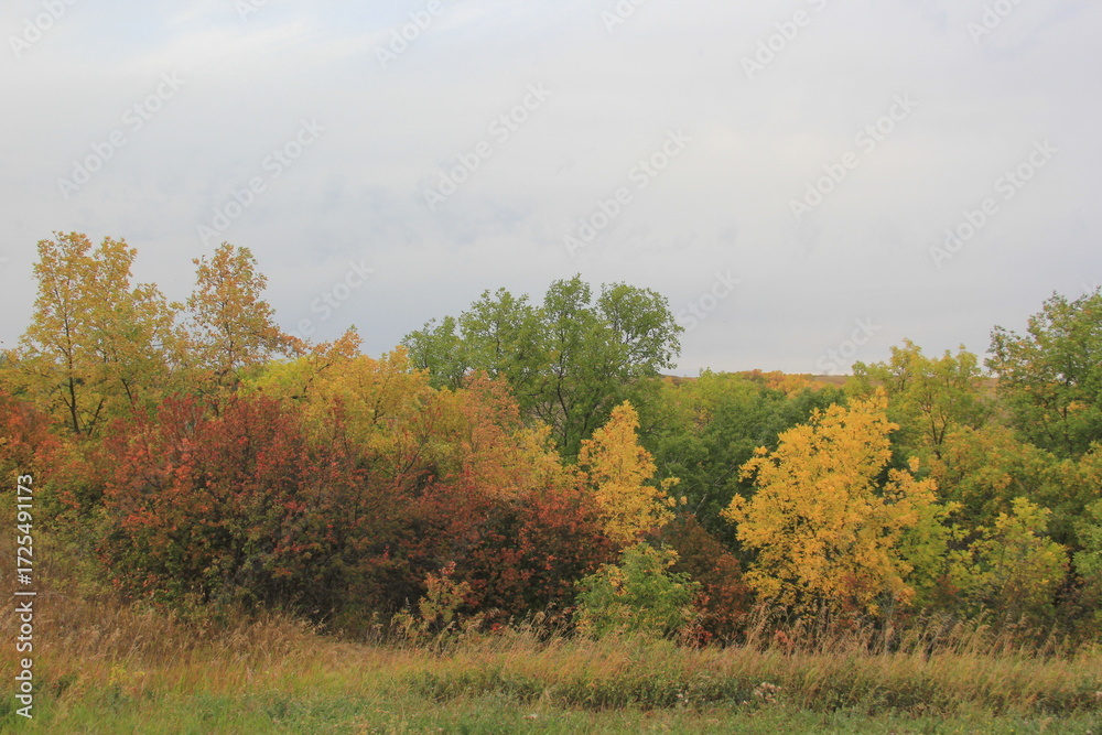 Fototapeta premium Fall scenery in the Qu'Appelle Valley