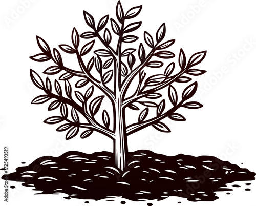 Hand drawn young tree with leaves and roots in soil vintage botanical engraving illustration