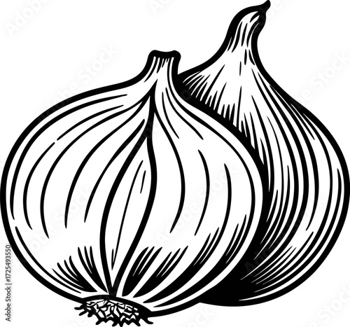 Hand drawn black and white illustration of two onions with textured lines isolated on white background
