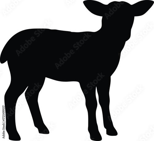 sheep vector, livestock illustration 