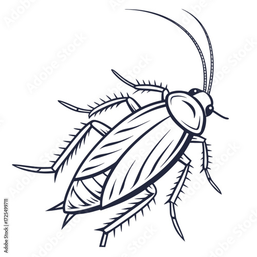 Minimalist detailed line art illustration of a cockroach with long antennae and spiky legs on a white background vector
