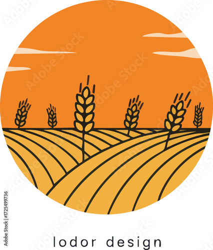 Wheat field landscape illustration, sunset over farmland countryside
