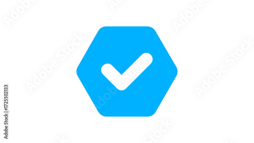 Blue check mark filled tick icon, approve correct success symbol vector