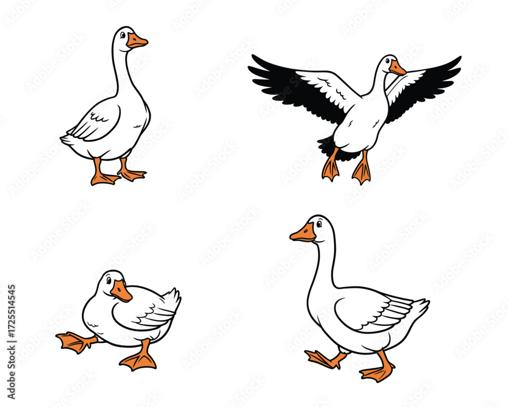 Obraz premium Four hand drawn illustrations of geese in different poses including standing walking flying and sitting on white background