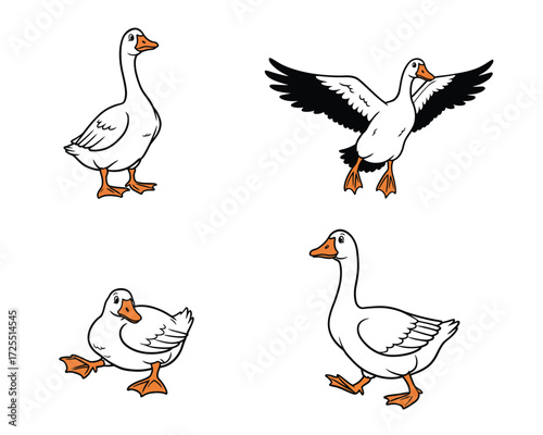 Four hand drawn illustrations of geese in different poses including standing walking flying and sitting on white background