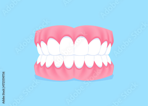 Full mouth teeth - Normal illustration vector design. Dental care concept.