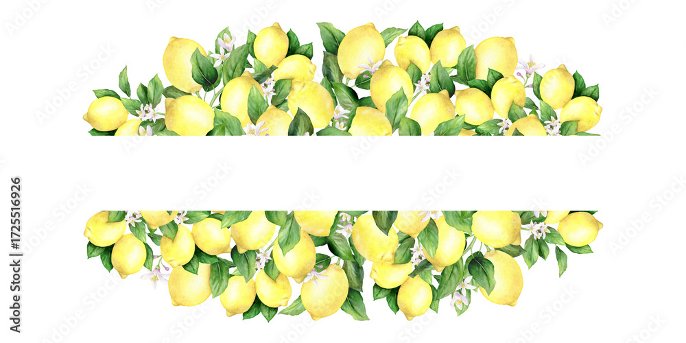 custom made wallpaper toronto digitalWatercolor frame of tropical fruit: yellow lemon, flowers and lemon leaves. The illustration is hand drawn, isolated on a white background. Suitable for menus, cosmetics, packaging, cards.
