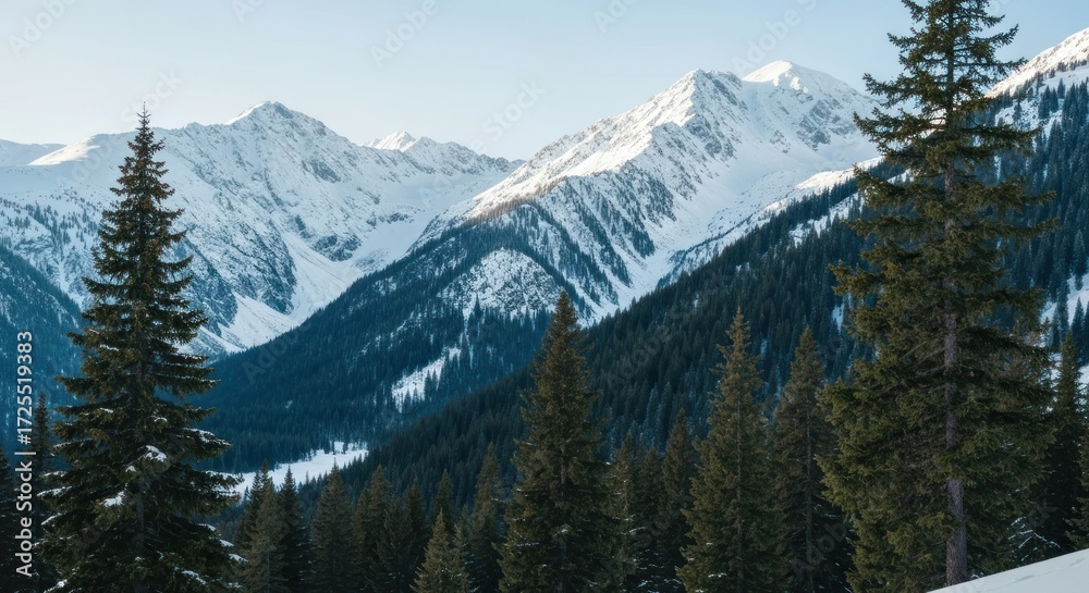 Obraz premium Snowy mountain peaks, dark evergreen forest