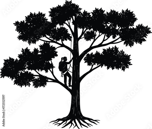Arborist climbing tree, worker silhouette, tree maintenance, forestry safety, rope climbing, arboriculture, outdoor labor, professional tree care, pruning service, arborist