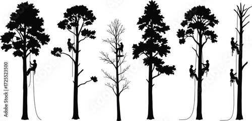 Silhouette of Arborists Climbing Trees, Tree Trimming Workers, Tree Cutting Illustration, Tree Surgeons with Ropes, Forest Maintenance Vector Art
