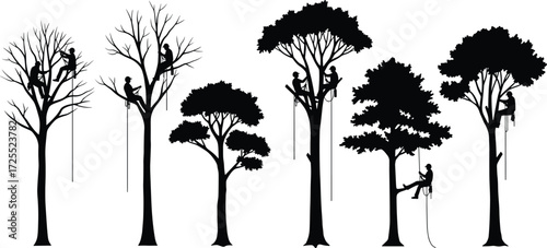 Silhouette of Arborists Climbing Trees, Tree Trimming Workers, Tree Cutting Illustration, Tree Surgeons with Ropes, Forest Maintenance Vector Art