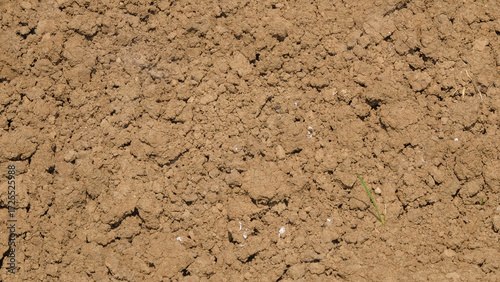 Tableau sur toile Background of rough texture of hoed soil