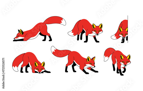 Vector art of collection of six red foxes in various poses