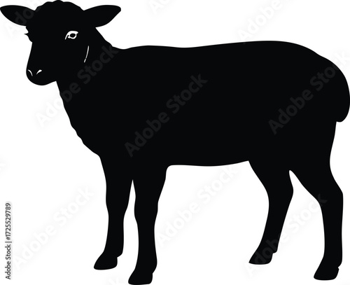sheep standing silhouette, livestock vector art