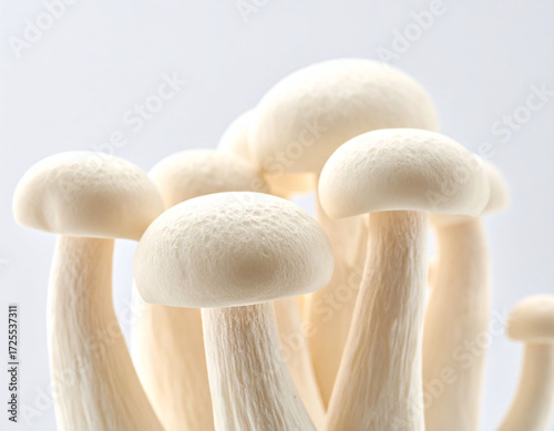 White Shimeji Mushrooms