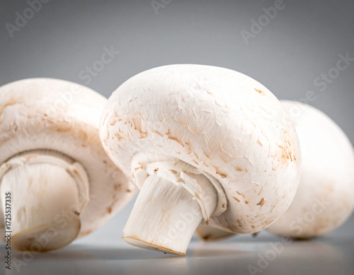 Fresh White Mushrooms
