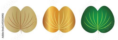 Apta leaf vector illustration set in gold, green and beige colors, Bauhinia leaves used in Indian Dussehra festival, cultural decorative design