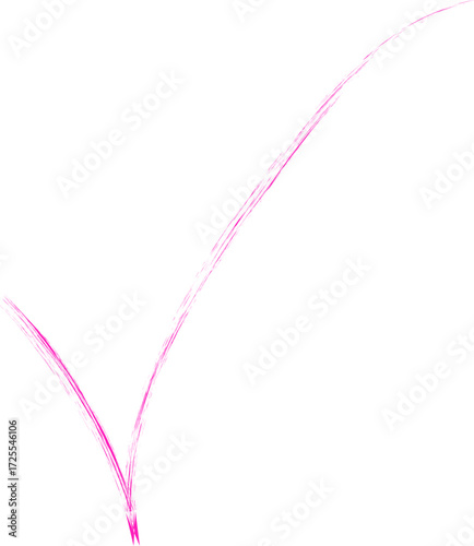 Scribbled, organic and textured line forming a Check symbol
