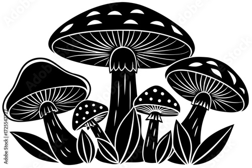 Vector art of black and white illustration of various mushrooms