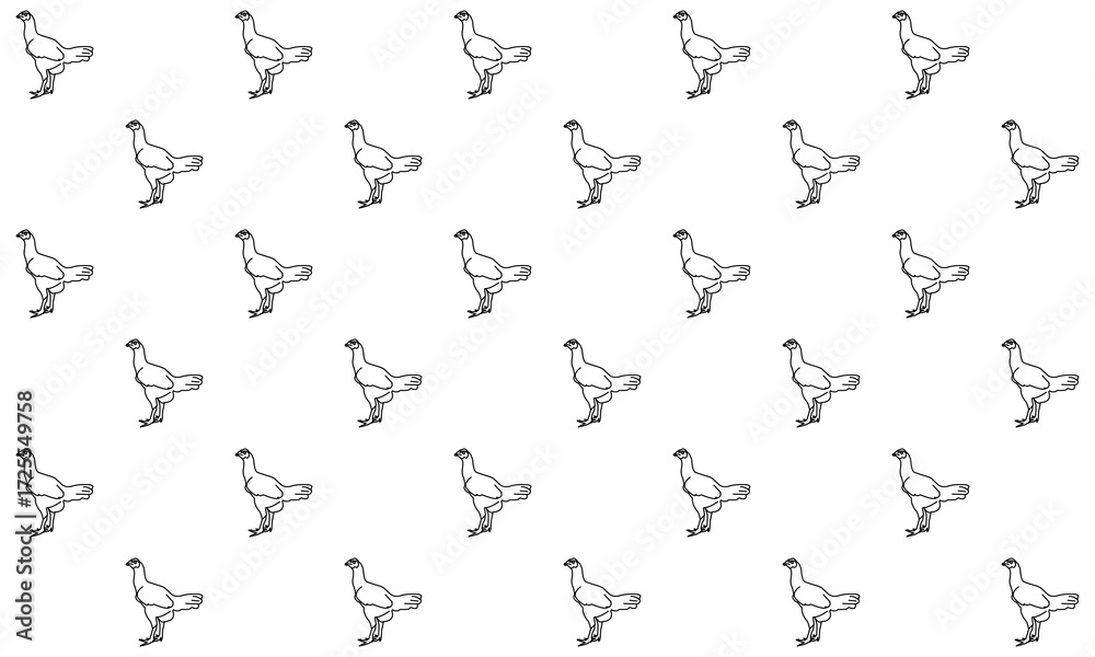 Obraz premium Chicken Pattern with White Background