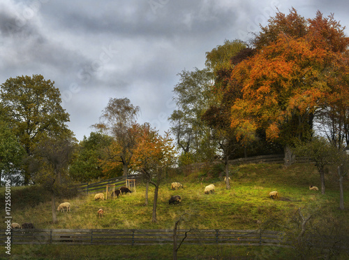 herbstliche Idylle
