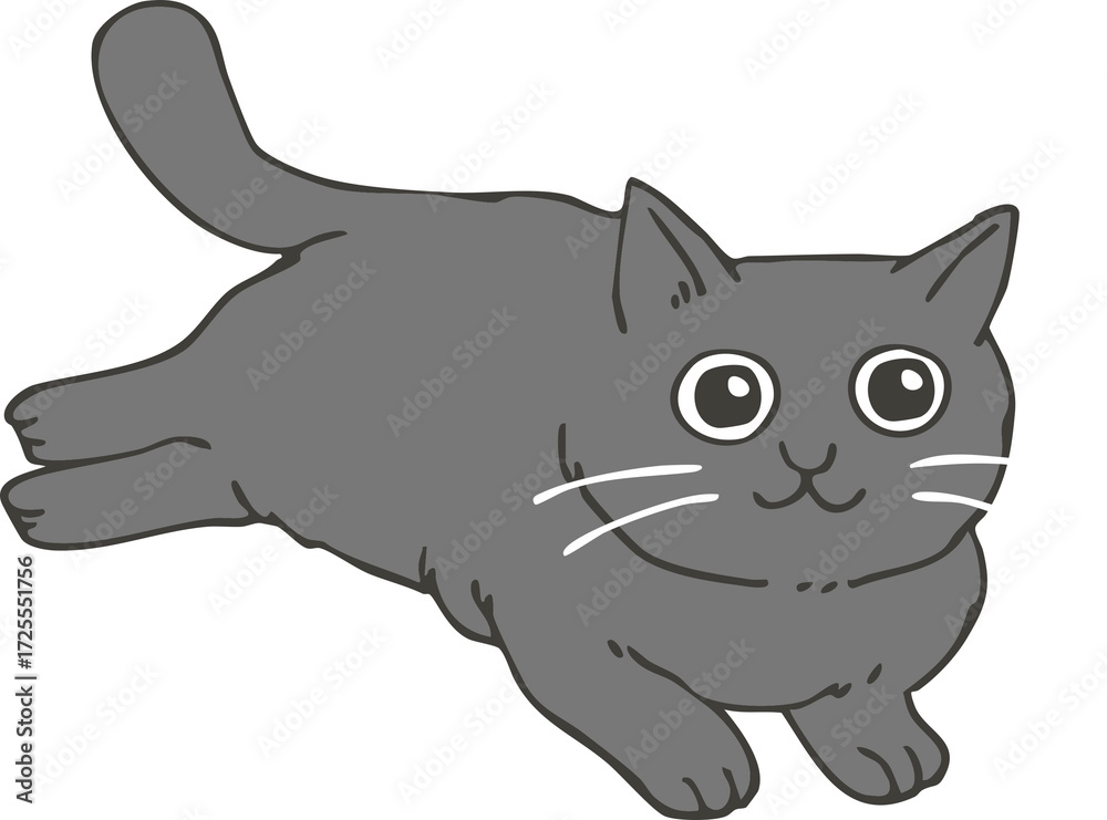 Fototapeta premium 黒猫