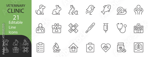 21 editable line veterinary icons of pets, medical tools, and care symbols, perfect for clinics, branding, web, print, and professional design use.