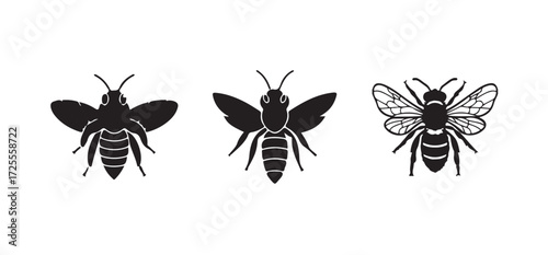 Bee icon vector, bumble bee drawing, insect line art, bee graphic design, Vector illustration EPS 10.