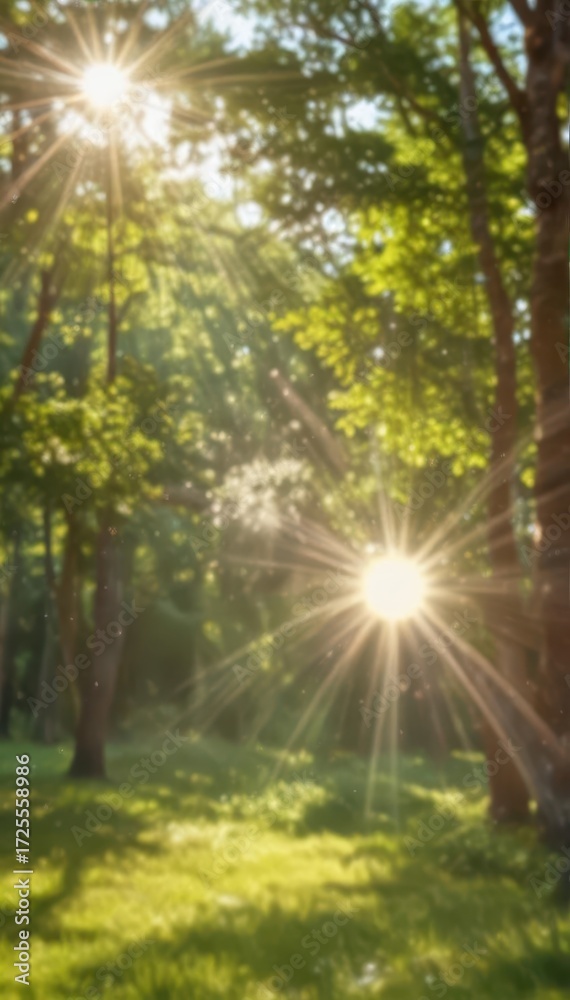 Obraz premium Blurred summer sunbeams, vibrant bokeh circles on abstract backdrop, bokeh, image, art